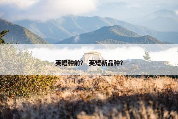 英短种前？ 英短新品种？