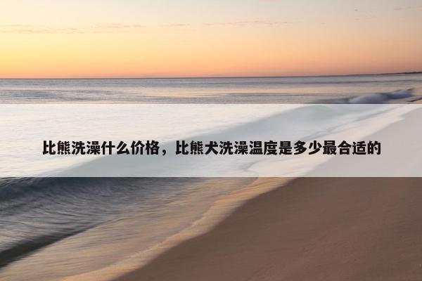 比熊洗澡什么价格，比熊犬洗澡温度是多少最合适的