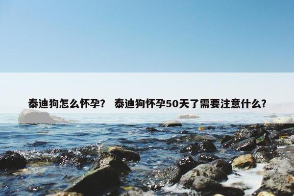 泰迪狗怎么怀孕？ 泰迪狗怀孕50天了需要注意什么？