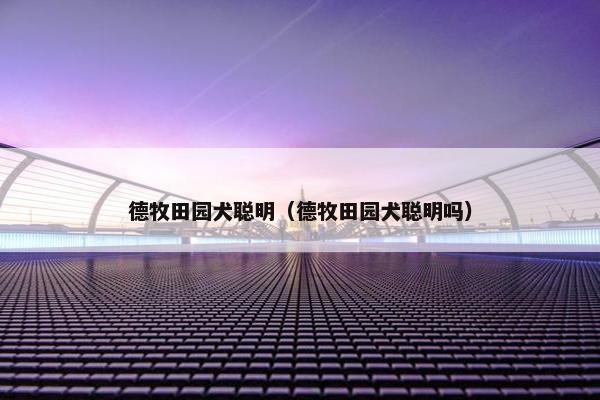 德牧田园犬聪明（德牧田园犬聪明吗）