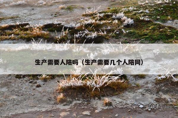 生产需要人陪吗（生产需要几个人陪同）
