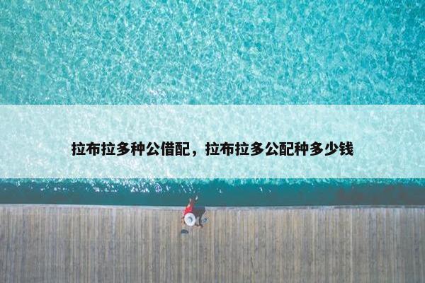 拉布拉多种公借配，拉布拉多公配种多少钱