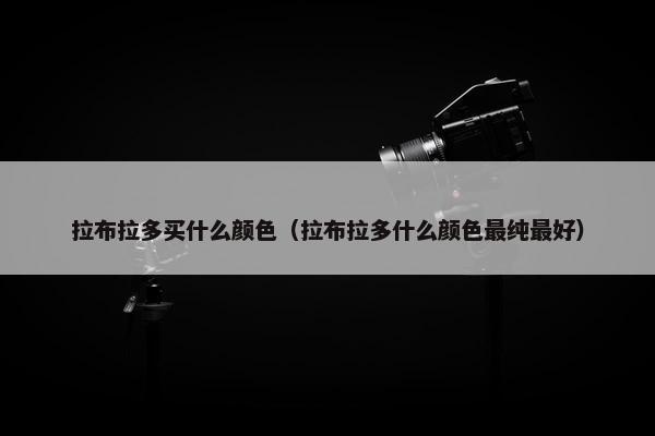 拉布拉多买什么颜色（拉布拉多什么颜色最纯最好）