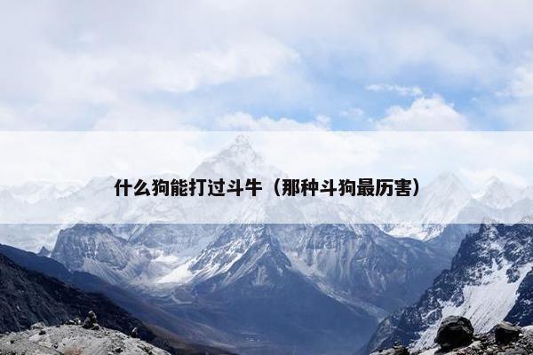 什么狗能打过斗牛（那种斗狗最历害）