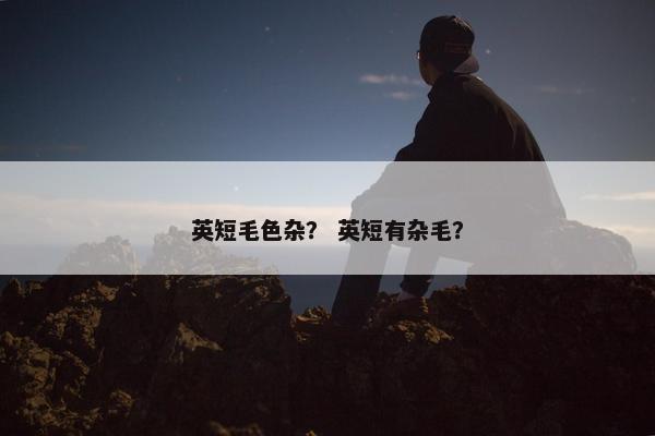 英短毛色杂？ 英短有杂毛？