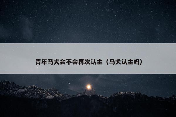 青年马犬会不会再次认主（马犬认主吗）