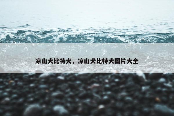 凉山犬比特犬，凉山犬比特犬图片大全