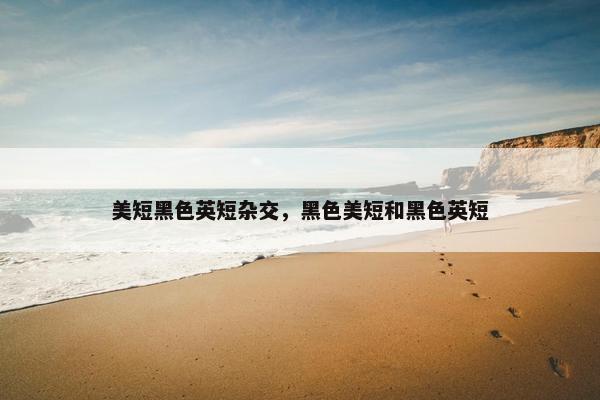 美短黑色英短杂交，黑色美短和黑色英短