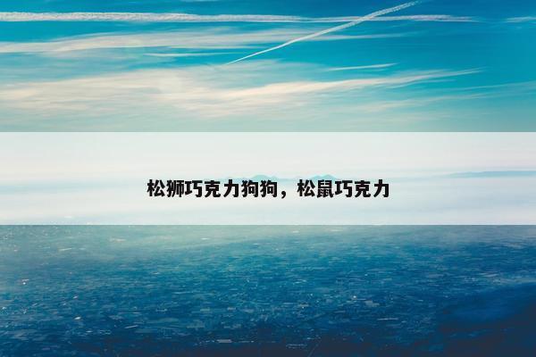 松狮巧克力狗狗，松鼠巧克力