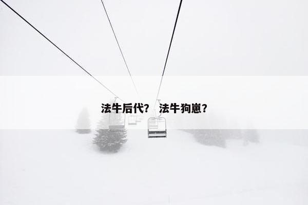 法牛后代？ 法牛狗崽？