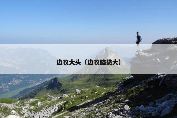 边牧大头（边牧脑袋大）