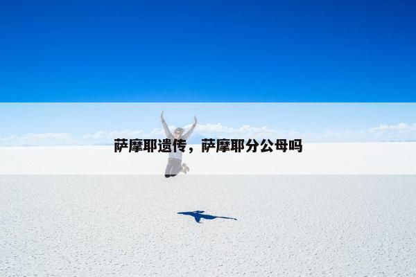 萨摩耶遗传，萨摩耶分公母吗