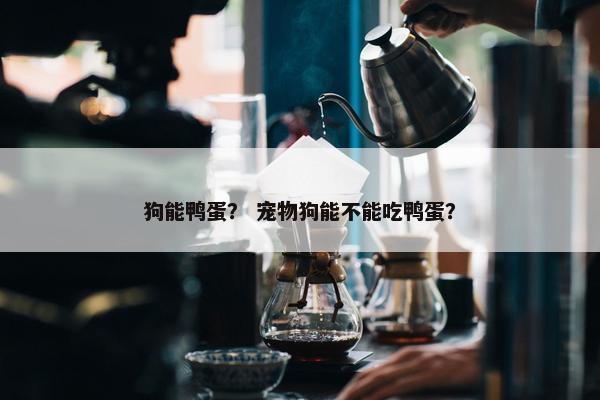 狗能鸭蛋？ 宠物狗能不能吃鸭蛋？