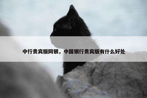 中行贵宾版网银，中国银行贵宾版有什么好处