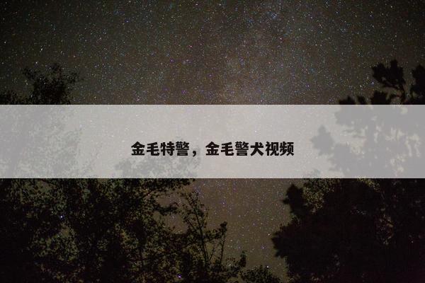 金毛特警，金毛警犬视频