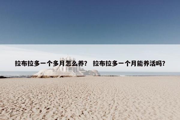 拉布拉多一个多月怎么养？ 拉布拉多一个月能养活吗？