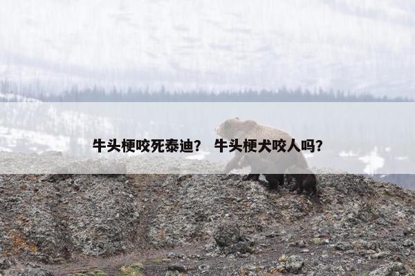 牛头梗咬死泰迪？ 牛头梗犬咬人吗？