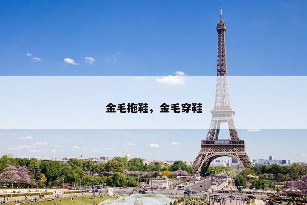 金毛拖鞋，金毛穿鞋