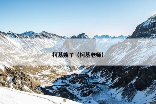 柯基嫂子（柯基老师）