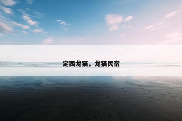 定西龙猫，龙猫民宿