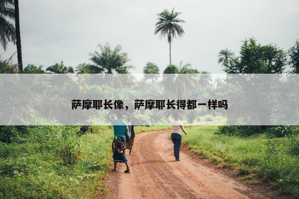 萨摩耶长像，萨摩耶长得都一样吗