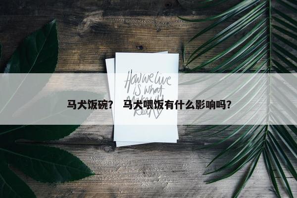 马犬饭碗？ 马犬喂饭有什么影响吗？