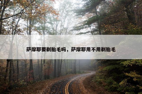 萨摩耶要剃胎毛吗，萨摩耶用不用剃胎毛