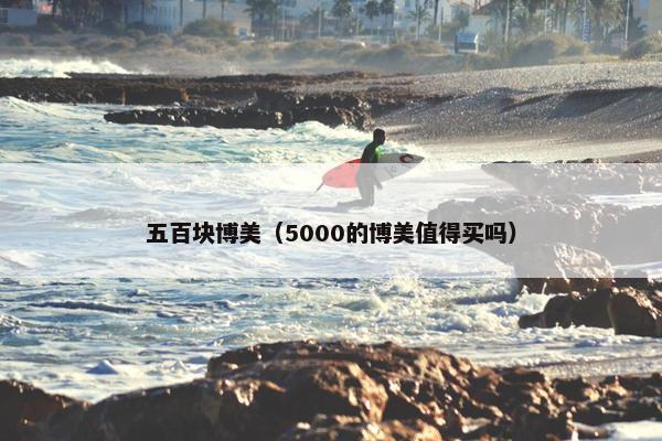 五百块博美（5000的博美值得买吗）
