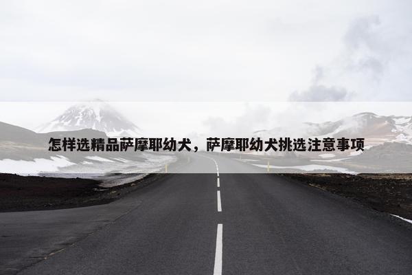 怎样选精品萨摩耶幼犬，萨摩耶幼犬挑选注意事项