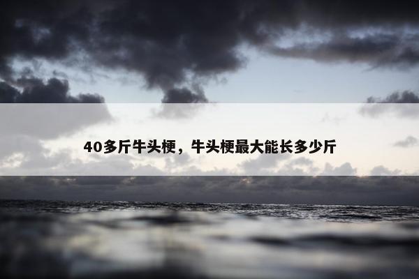 40多斤牛头梗，牛头梗最大能长多少斤