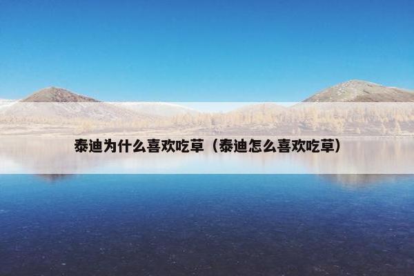 泰迪为什么喜欢吃草（泰迪怎么喜欢吃草）