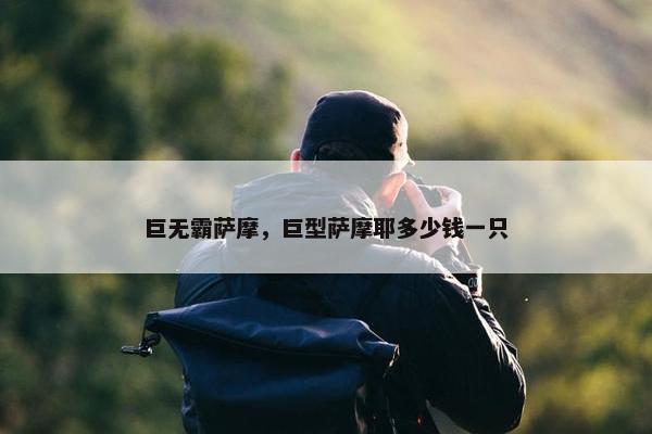 巨无霸萨摩，巨型萨摩耶多少钱一只