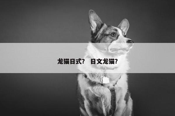 龙猫日式？ 日文龙猫？