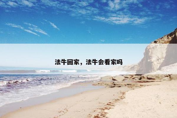 法牛回家，法牛会看家吗