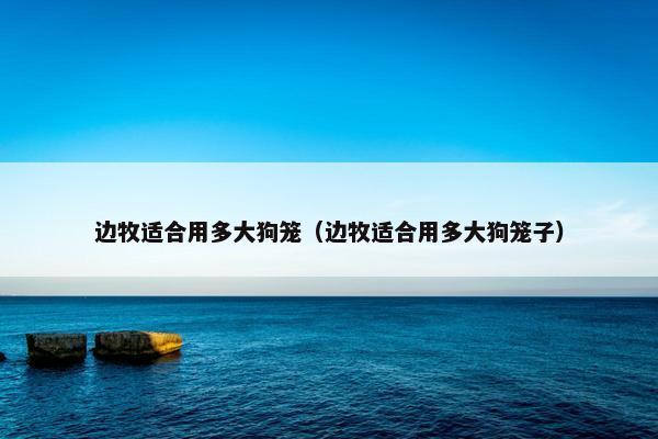 边牧适合用多大狗笼（边牧适合用多大狗笼子）