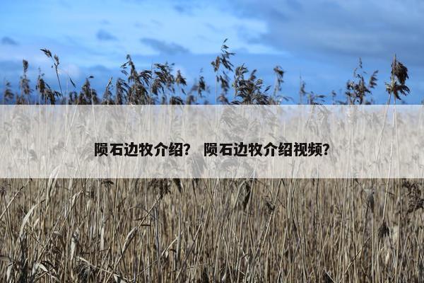 陨石边牧介绍？ 陨石边牧介绍视频？