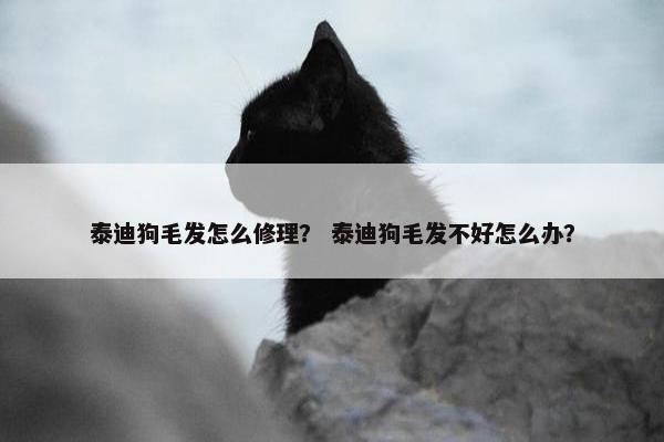 泰迪狗毛发怎么修理？ 泰迪狗毛发不好怎么办？