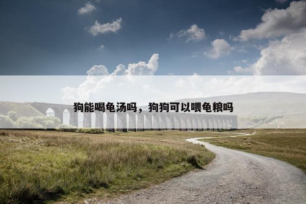 狗能喝龟汤吗，狗狗可以喂龟粮吗