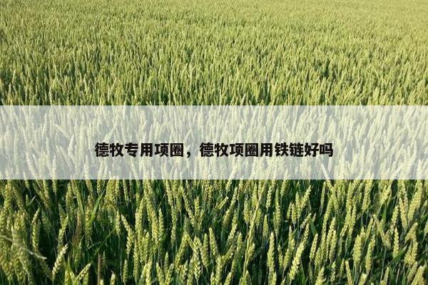 德牧专用项圈，德牧项圈用铁链好吗
