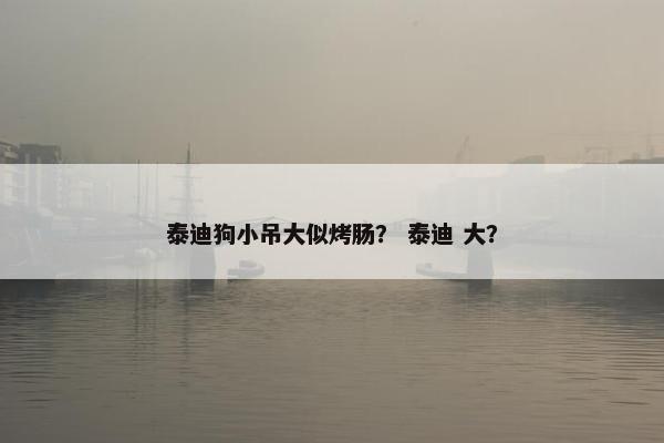 泰迪狗小吊大似烤肠？ 泰迪 大？