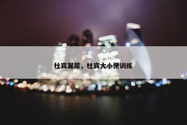 杜宾漏尿，杜宾大小便训练