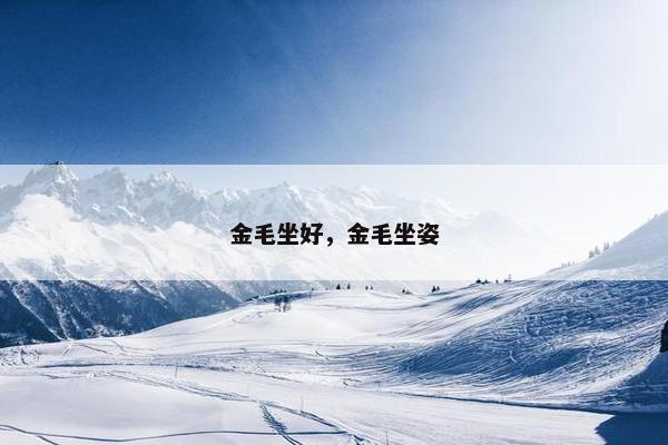 金毛坐好，金毛坐姿