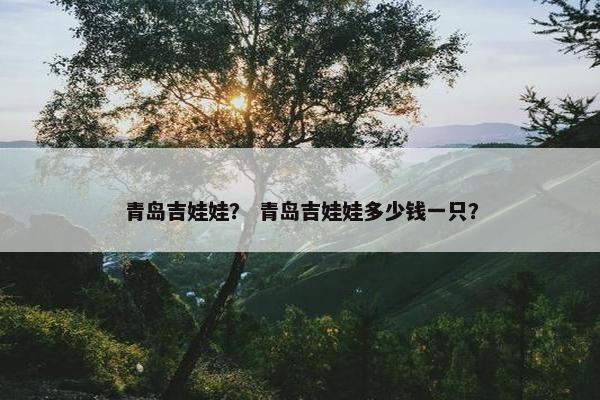 青岛吉娃娃？ 青岛吉娃娃多少钱一只？