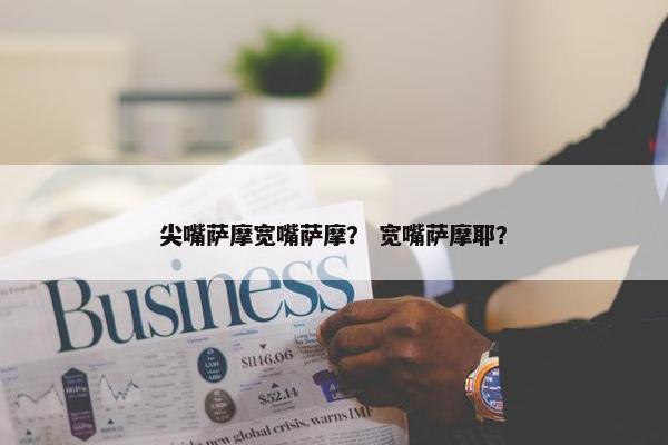 尖嘴萨摩宽嘴萨摩？ 宽嘴萨摩耶？