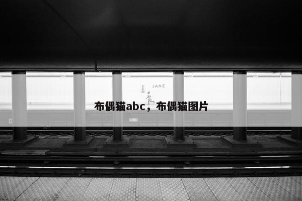 布偶猫abc，布偶猫图片
