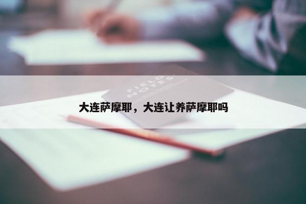 大连萨摩耶，大连让养萨摩耶吗