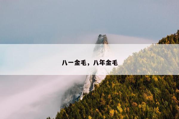 八一金毛，八年金毛