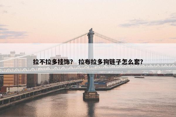 拉不拉多挂饰？ 拉布拉多狗链子怎么套？