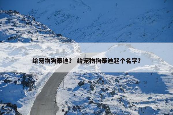 给宠物狗泰迪？ 给宠物狗泰迪起个名字？