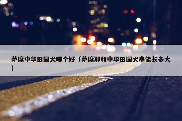 萨摩中华田园犬哪个好（萨摩耶和中华田园犬串能长多大）